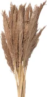 Clayre & Eef suszone kwiaty 100 cm brązowe suszone kwiaty