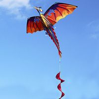 3D Kinder Drachen Einleiner Flugdrachen Drachenfliegen Flugspielzeug Park T7B5 3D Kinder Drachen Einleiner Flugdrachen Drachenfliegen Flugspielzeug Park T7B5