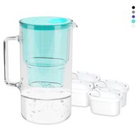 Wessper Wasserfilterkanne aus Glas 2.5 L Kompatibel mit Brita-Wasserfilterkartuschen, Inklusive 4 Wasserfilter-Kartusche, Minze