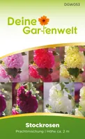 Stockrosen Prachtmischung Samen - Alcea rosea - Rosensamen - Blumensamen - Saatgut für 25 Pflanzen