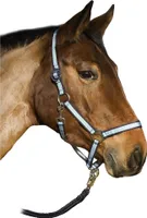 Halfter hellblau/weiß/marine, Warmblut
