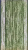 Teppichläufer Läufer Küchenläufer Küchen Antirutsch, rama-29, Grün, 67 x 125 cm