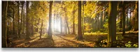 120 x 40 cm Bild auf Leinwand Wald Baum 5722-SCT deutsche Marke und Lager  -  Die Bilder / das Wandbild / der Kunstdruck ist fertig gerahmt