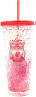 Liverpool FC - Hrnek s brčkem, Crest, 600ml BS3892 (jedna velikost) (červený)