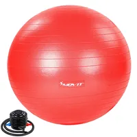 Movit Gymnastikball Dynamic Ball, groß, Ø 65cm, mit Pumpe, silber
