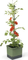 Gusta Garden TOM TOMATO Standard-Pflanzgefäß mit Selbstbewässerung, dunkelgrün