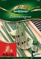 Zitronengras