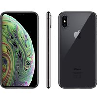 Apple iPhone Xs 64 GB vesmírně šedá Akzeptabel