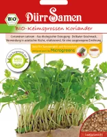Keimsprossen Koriander |Keimsprossen von Dürr Samen [MHD 12/2024]