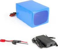 Lithium-Ionen Akku 60V 30Ah 1800Wh Akkupack incl. 60A BMS & Ladegerät für Scooter E-Bike Pedelec