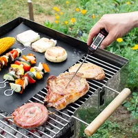 2x Digitales Fleischthermometer Koch Thermometer - für BBQ Fleisch Grill Milch Wasser - Bratenthermometer Einstichthermometer Messgerät Set kwmobile