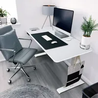 HOME DELUXE - Höhenverstellbarer Schreibtisch LUMINA - Gestell: Weiß, Platte: Weiß, Maße: 160 x 80 cm, Kohlenstoffstahl, inkl. USB Stecker und Aufbewahrungstasche I Arbeitsplatz Bürotisch