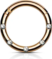 viva-adorno 1,2 x 10mm Segmentring Clicker Scharnier Septum Nasen Piercing Ring Kristall Zirkonia Z551, rosegold