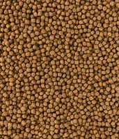 Dehner Hundefutter Knusper-Mix Junior, Trockenfutter, für Welpen und junge Hunde, Geflügel, 12 kg