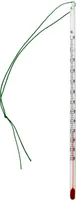 Lantelme Teethermometer Teeglasthermometer 24cm mit Schnur bis 110 Grad Celsius