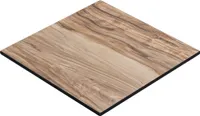 COMPACT | Gastro HPL Tischplatte | B:T 60 x 60 cm | Sheesham | Quadratisch | Gastro HPL Tischplatte