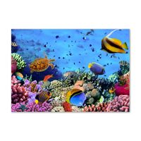 Glas-Bild Wandbilder Druck auf Glas 100x50 Deko Tiere Korallenriff 