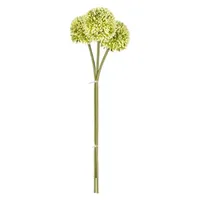 Allium - ca. 46 cm - grün