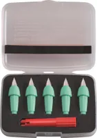 STABILO EASYbirdy Pastel Schreibeinsatz 5er Box Feder A mint