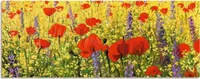ARTland Schlüsselbrett Mohnblumenfeld Größe: 40x14,8 cm