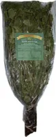 Birkenreisig ca. 55-60cm Birkenquast Wenik Sauna Banja