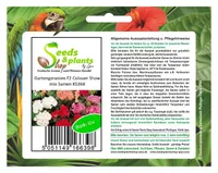 15x Gartengeranien F2 Colouer Show mix - Pelargonium-Samen Garten Blume KS368
