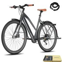 E-bike 28 Zoll Rostfreie Aluminiumlegierung bis zu 100 km Damenfahrrad Wasserdicht IPX4 Pedelec mit 9 Gang, Grau