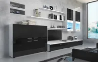 TV-Schränke, Wohnwand, Wohnzimmerschrank mit LEDs, weiß matt und schwarz lackiert