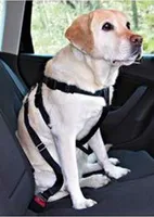 Trixie Auto-Sicherheitsgeschirr - L
