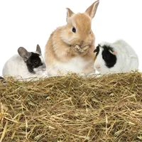 Nobleza - (2.5kg) Kaninchen Wiesenhe, Hauptfutter für  Hasen mit Gemüse, Natürliches Nagerfutterlebenswichtigen, Futter für Meerschweinchen