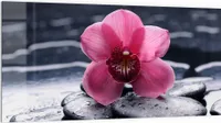 DEQORI Küchenrückwand Glas 100x50 cm 'Zen-Blütenpracht' Spritzschutz Bad Rückwand Küche