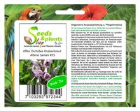 25x Affen Orchidee Knabenkraut Albino Zimmerpflanzen Samen #35