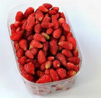 100x Riesen rote Walderdbeeren Obst Pflanzen - Samen A111
