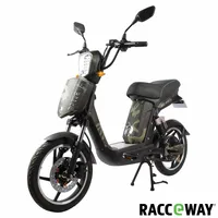 Elektroskútr RACCEWAY® E-BABETA®, maskáč zelený