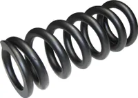 RockShox 00.4118.200.000 Feder Metric Coil für 350LB 134x55, schwarz