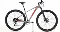 Orbea Alma XX1