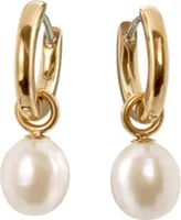 Kreolen mit Perlen Anhänger - Boccia Jewelry Modell: 05068-02