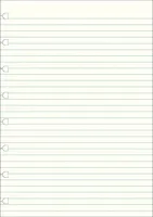 FILOFAX A5 Notebook Notizpapie