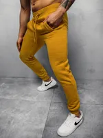 Ozonee Pánské tepláky Appears camel L