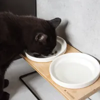 Navaris Futternapf Katze erhöht - Futterstation Katzen - 2x Fressnapf aus Keramik - Erhöhter Futternapf - Katzennapf erhöht Keramik - Auch für Hunde -