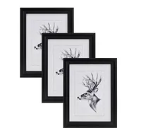WOLTU 3er-Set Bilderrahmen Artos Stil Holz Rahmen Fotogalerie Glasscheibe, Schwarz,40x50 cm