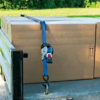 Kerbl Automatik-Zurrgurt blau mit S-Haken 3 m x 25 mm - Zugkraft direkt 300 kg