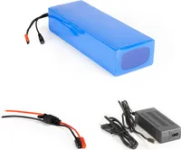 Lithium-Ionen Akku 36V 20Ah 720Wh incl. 25A BMS & Ladegerät für Scooter