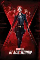 Black Widow Plakát Marvel Teaser, Scarlett Johansson 61 x 91,5 cm