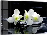 DEQORI Küchenrückwand Glas 60x40 cm 'Orchidee mit Zen-Steinen' Spritzschutz Bad Rückwand