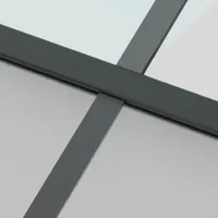 vidaXL Schiebetür Schwarz 76x205 cm Hartglas und Aluminium