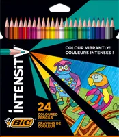BIC INTENSITY Buntstifte farbsortiert, 24 St.