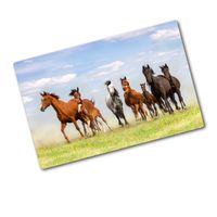 Glas-Herdabdeckplatte Ceranfeldabdeckung Zweiteilig 2x30x52 Pferde im Galopp