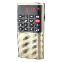 L-328 FM Radio Multifunktional wiederaufladbar tragbarer USB TF MP3 Player Handheld-Lautsprecher für Outdoor-Golden