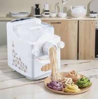 180W 220V elektrický stroj na těstoviny Plně automatický výrobce těstovin pro domácnost Špagety, knedlík na výrobu těstovin